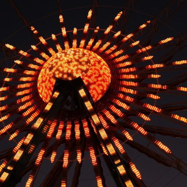 Rustic Elegance: Old Tree Branch Rattan Art Chandelier